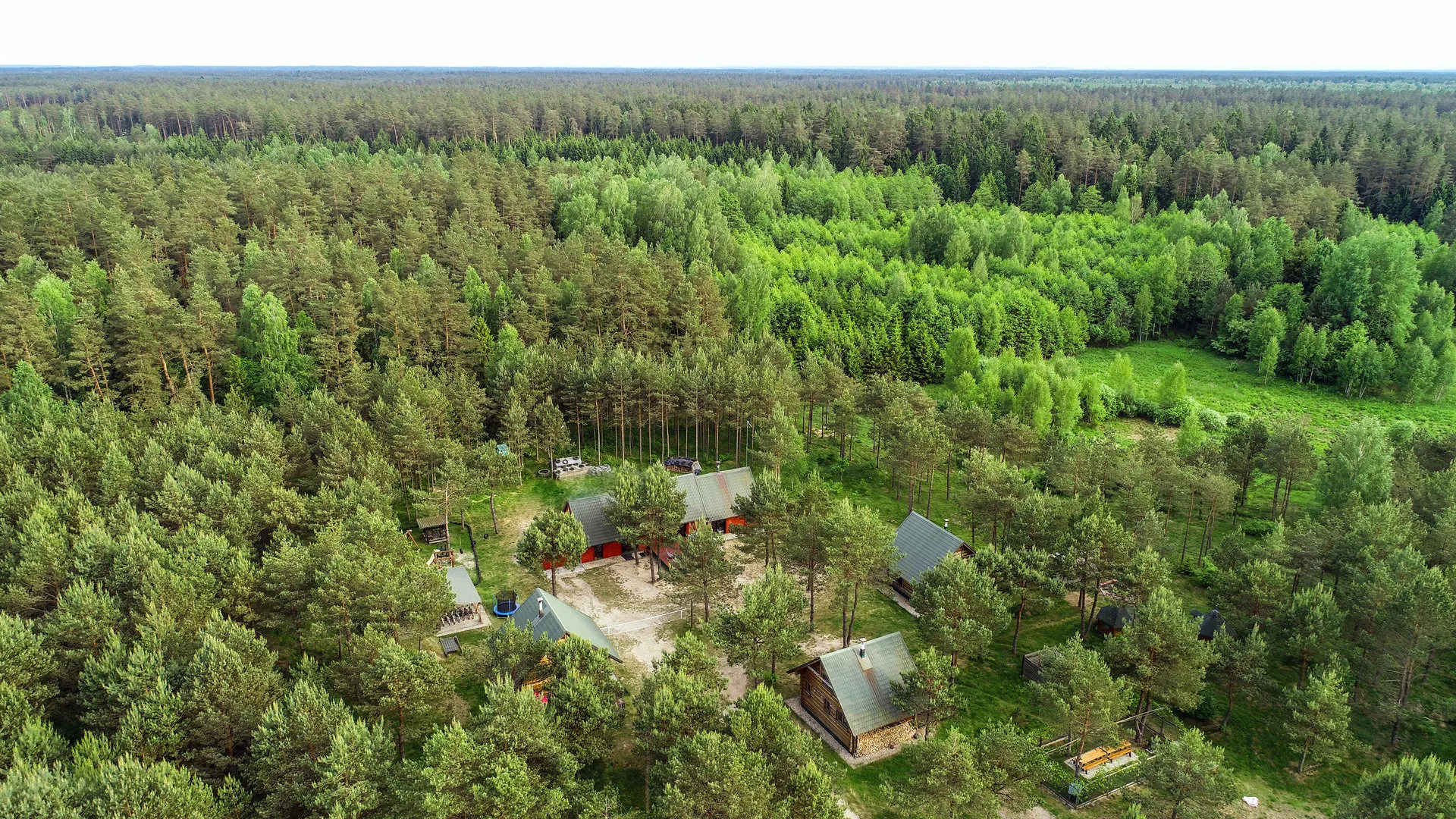 Widok z lotu ptaka na domy z bala otoczone lasem